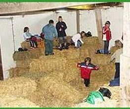 Ferienhof Bruns Bild 7