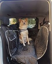 311272041-1-39mYZi8bUV1776861070250.jpeg