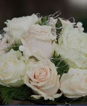 Séverine le Moulec image 1