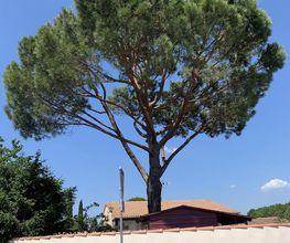 LB Paysage image 8