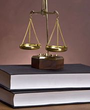 Naviaux Sylvain image 1