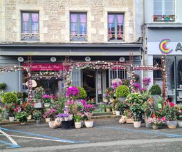 A Fleur De Pot image 2