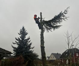 HDS Hausmeisterdienste Falko Stange Bild 2