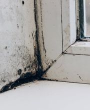 SiniGest Sàrl ı Urgence dégât d'eau Bild 3