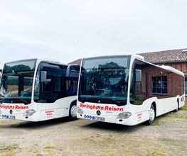 Springhorn Reisen Bild 5