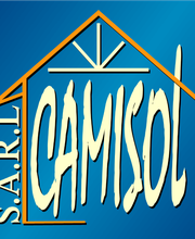 Camisol image 1