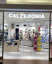 Calzedonia immagine 1