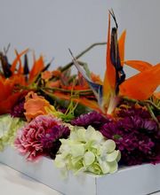 Fleuriste la Roseraie Nice Bild 6