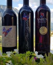 Pinot Noir Pfyfoltru