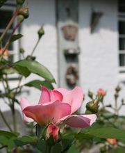 Das alte Pastorat Bild 6