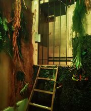 Enigmaniac Escape Game image 1