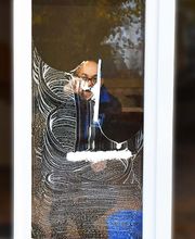 Propr'Net Services image 3