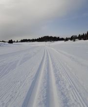 Mermet Equip'Fond image 1