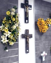 PF Montauban image 12