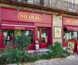 Nicolas Brive image 1