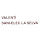 logo valenti sani elec.png