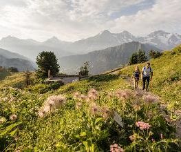 Schynige Platte - Top of Swiss Tradition Bild 6