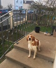 Élevage familial de la Pomaille image 5