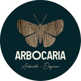 Arbocaria