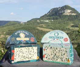 Roquefort Carles image 6