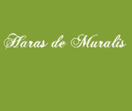 Le Haras De Muralis image 13