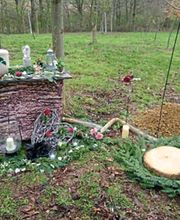 Bringewatt-Vogelsang Bestattungen Bild 4