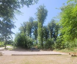 FriedWald Starzach Bild 3