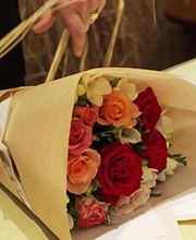 Chataigner les 15 sillons image 7