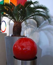 Blumen Villiger GmbH Bild 6