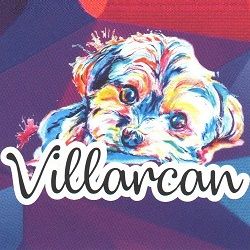 Peluqueria_Canina_Villarcan_en_Badajoz.jpg