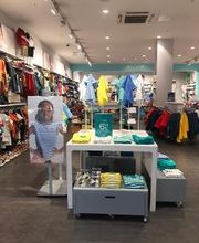 OKAIDI AGEN BOE image 15