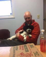 Deer Park Veterinary Hospital image 9