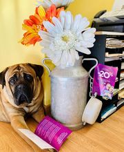 MMA - Coupeau Thierry image 4