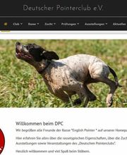 Hochhäuser Webdesign Bild 8