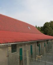 Elevage du Taillis Madame image 6