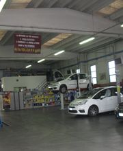 Gallery Cliente