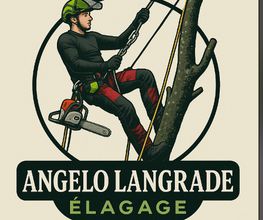 Angelo Langrade image 5