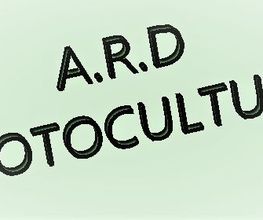 ARD MOTOCULTURE image 19