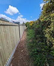 S.J. Jardins image 14