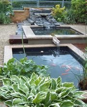 J.N. JARDINS NATURELS CHAVORNAY SA Bild 8