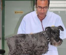 Argos Clínica Veterinaria imagen 5