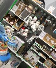 Orchestra PORNIC image 5