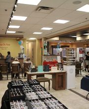 Dr. Barbara Gordeuk image 4