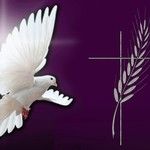 Cano Pompes Funèbres