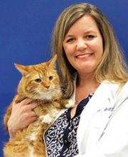 Caring Hands Animal Hospital - Bristow image 2