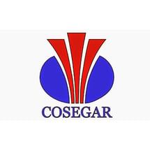 Cosegar.jpg