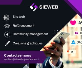 SIEWEB image 11