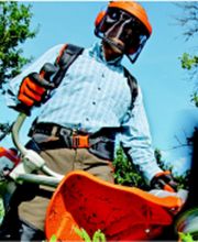 Hermez Gebäudereinigung Bild 3