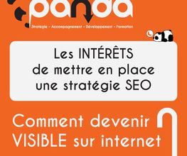 Panda SEO image 6