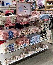 Orchestra SAINT QUAY PERROS - Lannion image 16